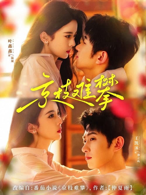 Marriage Escape to Mystery poster