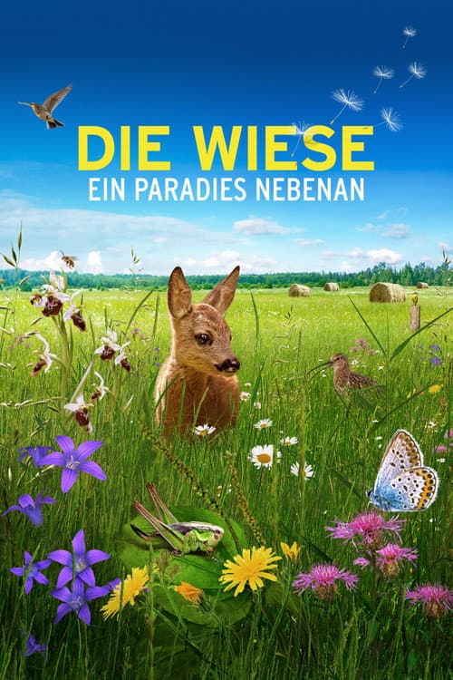 Die Wiese: Ein Paradies nebenan poster