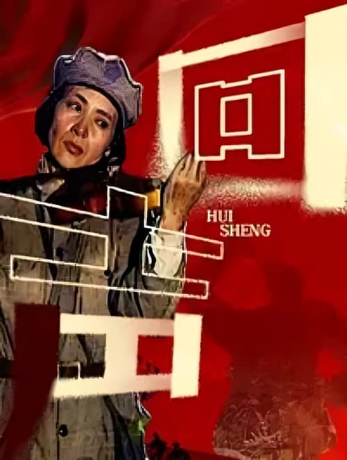 回声 poster