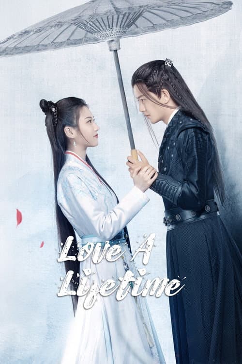 Love a Lifetime poster