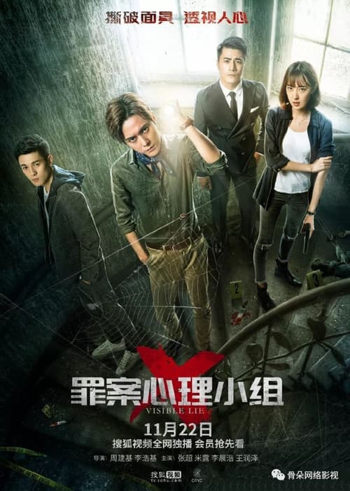Visible Lie poster