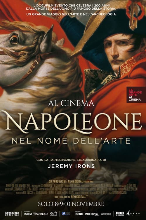 Napoleon: In the Name of Art poster