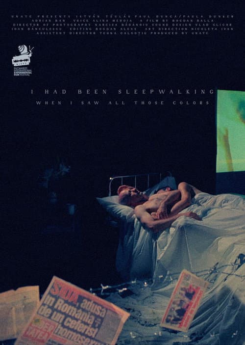 I Had Been Sleepwalking When I Saw All Those Colors poster