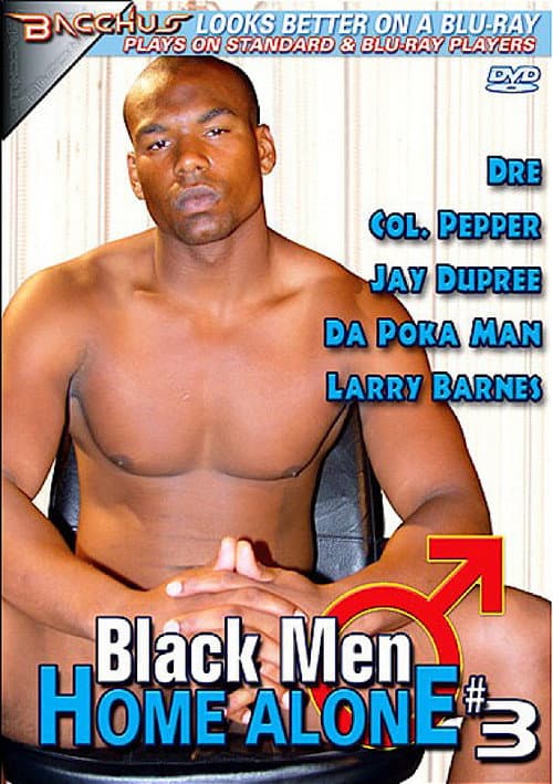 Black Men Home Alone 3 poster