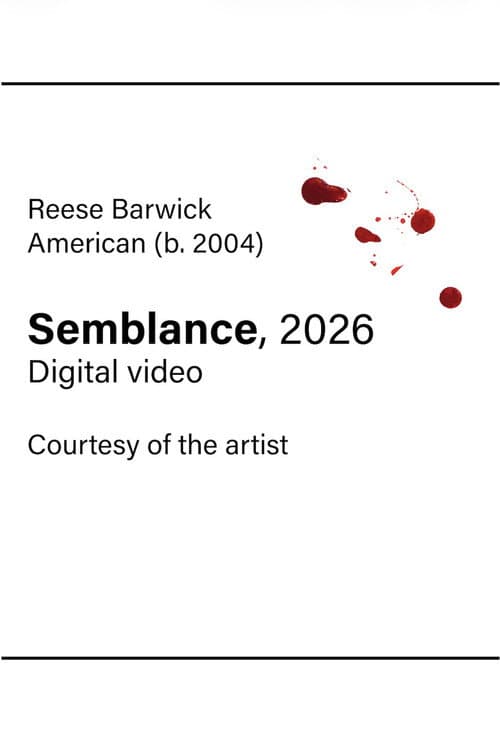 Semblance poster