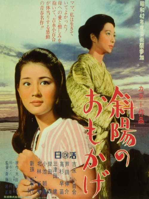 The Last Lady poster