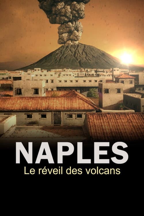 The Next Pompeii? poster