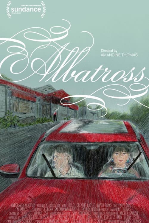 Albatross poster