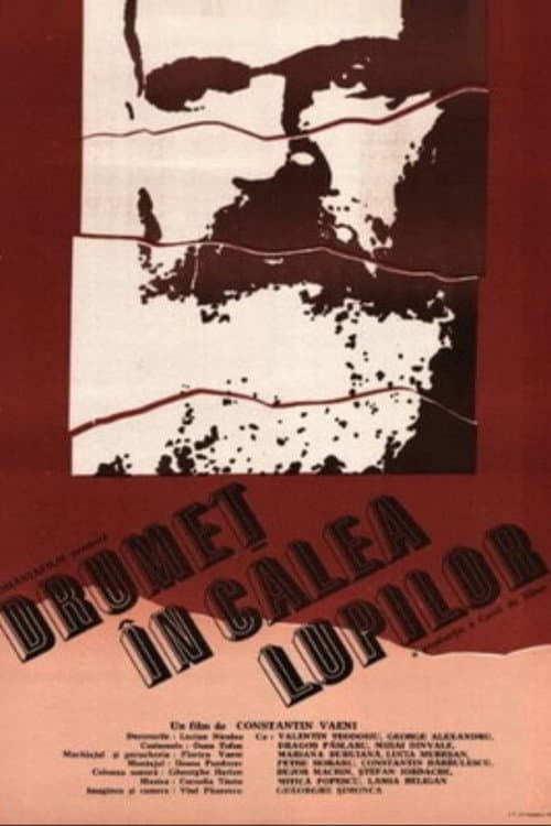 Drumeț în calea lupilor poster