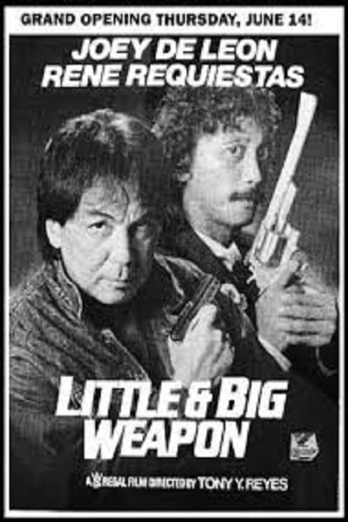 Little & Big Weapon poster