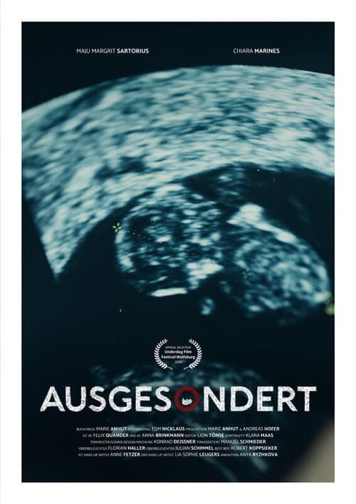 Screened Out poster
