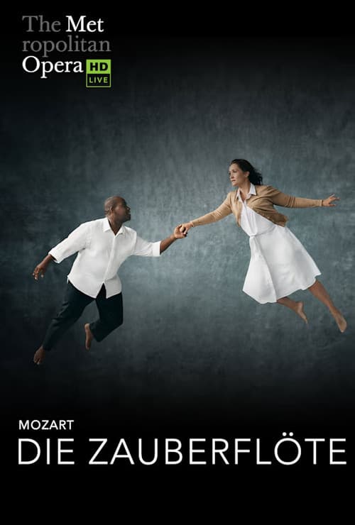 The Metropolitan Opera: The Magic Flute poster