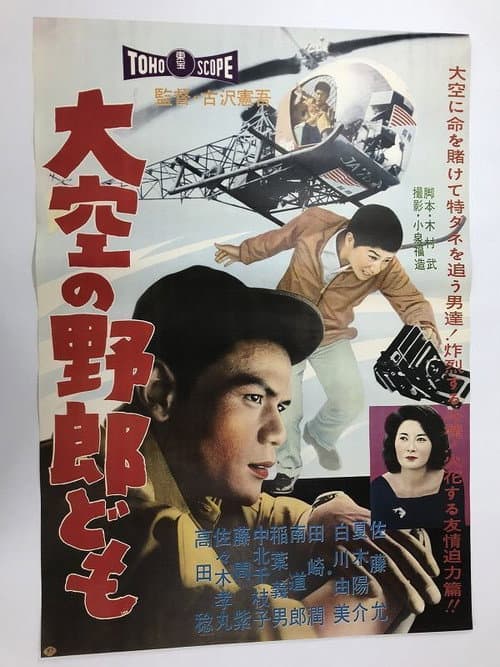 Reporters from the Sky poster