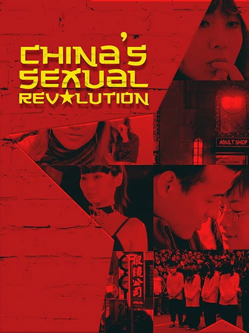 China's Sexual Revolution poster