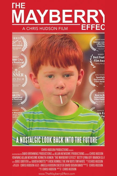The Mayberry Effect poster