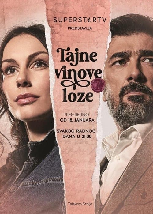 The Secret of the Vineyard poster