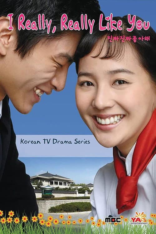 I Really Really Like You poster
