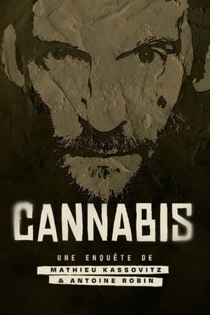 Cannabis : Une enquĂȘte de Mathieu Kassovitz et Antoine Robin