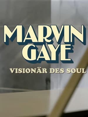 Marvin Gaye - VisionÀr des Soul