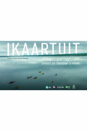 Ikaartuit