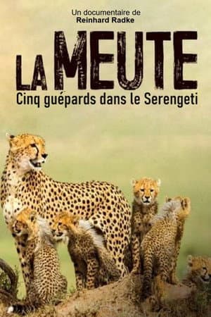 Die fünf Geparde - Gemeinsam durch die Serengeti