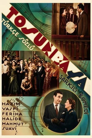 Tosun Pasha