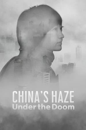 China's Haze: Under the Doom
