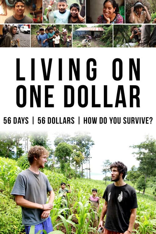 Living on One Dollar poster