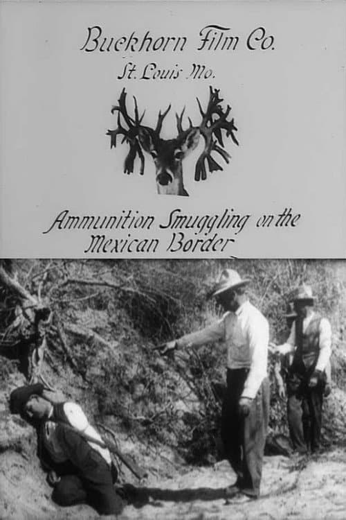 Ammunition Smuggling on the Mexican Border poster