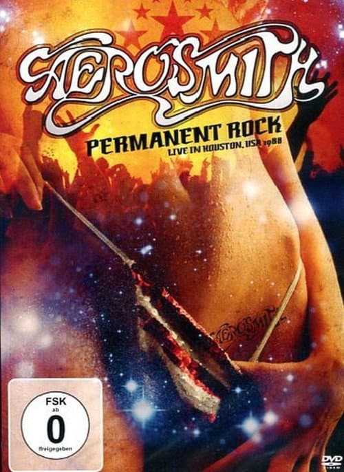 Aerosmith : Permanent Rock - Live in Houston 1988 poster
