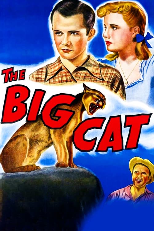 The Big Cat poster