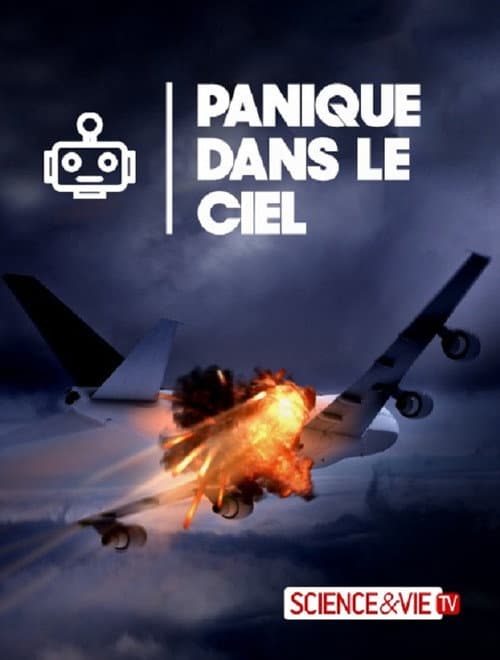 Planes Gone Viral poster