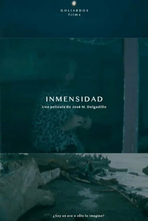 Immensity poster