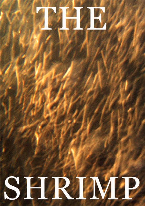 The Shrimp poster