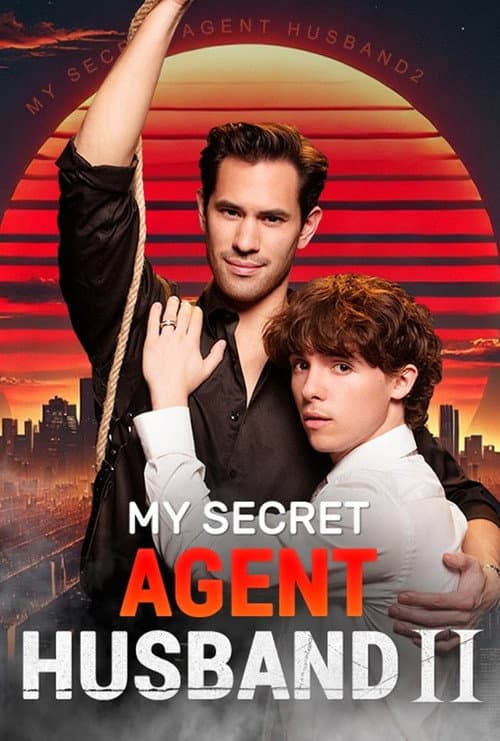 My Secret Agent Husband poster