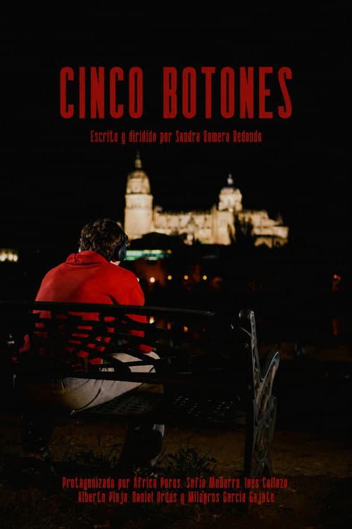 Cinco botones poster
