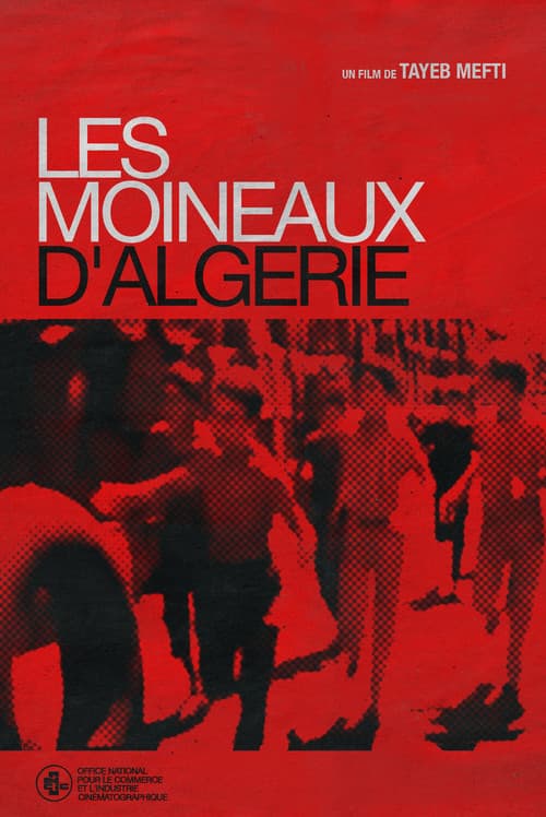 Les Moineaux d'Algérie poster