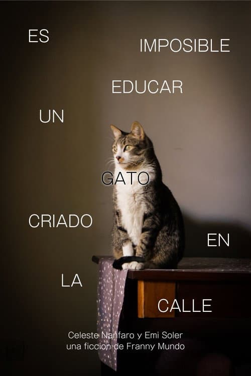 Es Imposible Educar Un Gato Criado en la Calle poster