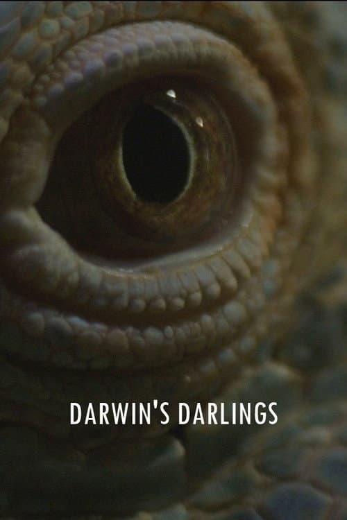 Darwin's Darlings poster