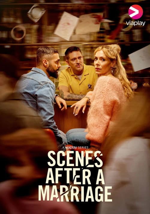 Scenes After a Marriage poster