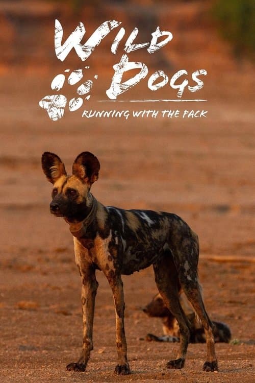 Wild Dogs: Running with the Pack poster