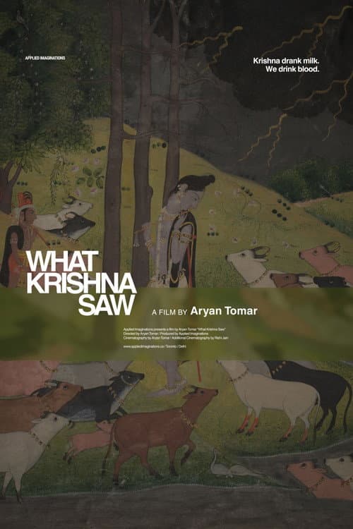 What Krishna Saw poster