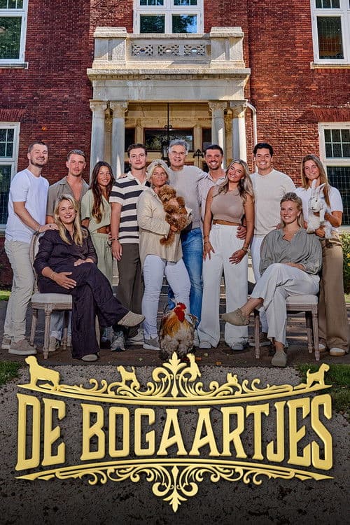 De Bogaartjes poster