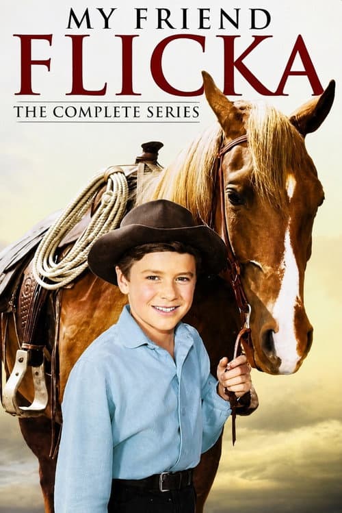 My Friend Flicka poster