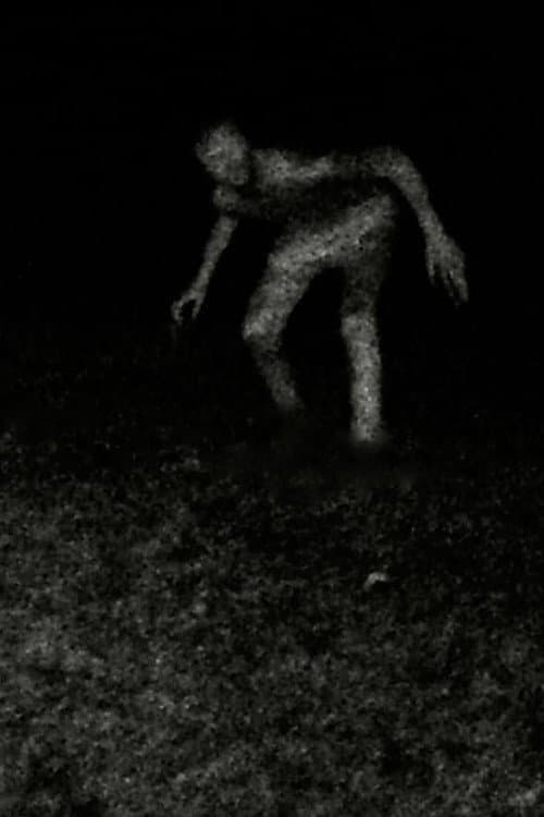 Stalking poster