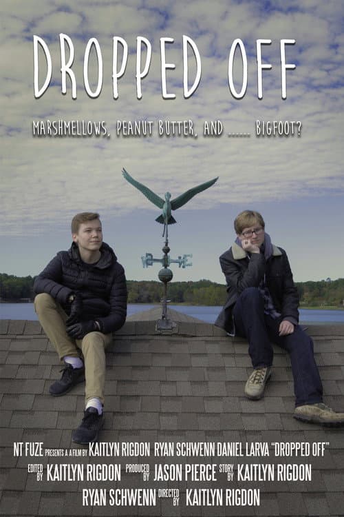 Dropped Off poster
